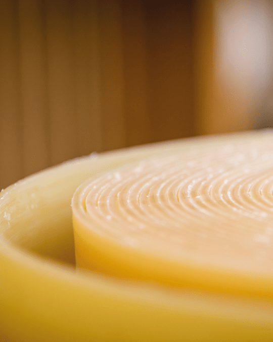 Gerollte Bienenwachsplatte – Material für handgezogene Kerzen in der Lebzelterei.