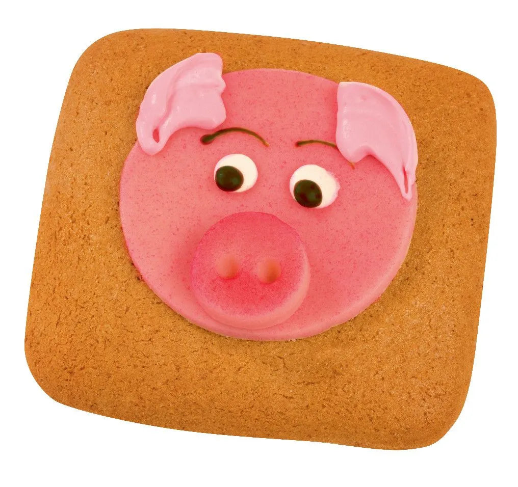 Gluecksbringer_Schwein_25