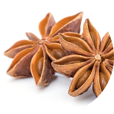 Sternanis auf weiß – duftendes Gewürz für Lebkuchen, Tee und Sirup.