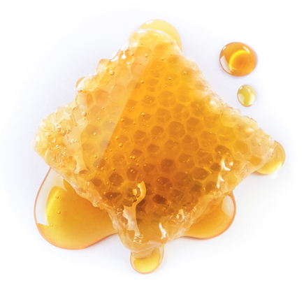Honigwabe mit fließendem Honig – echter Bienenhonig als Zutat der Pirker Lebzelterei.